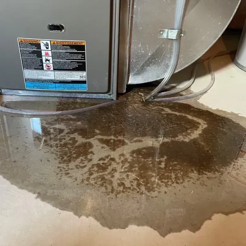 Appliance Leak Cleanup in Hardin County, KY